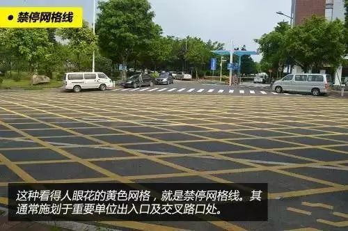 哪些标线不能压? 哪些行为属于“违反禁止标线指示”?