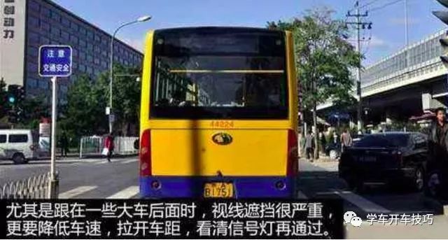 误闯红灯后到底该走该停?这样做一分也不扣!
