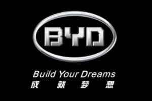 纯电动汽车哪个牌子质量最好 国产纯电动汽比亚迪品牌质量好
