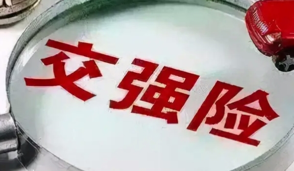 一般车险都买那些 根据实际使用用车情况购买(交强险/商业险)