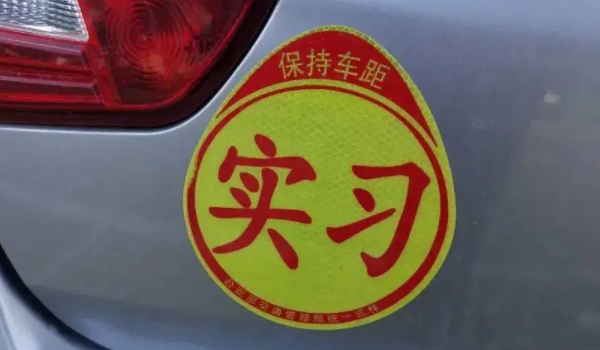 实习期上高速怎么处罚 处以罚款(20元以上200元以下)