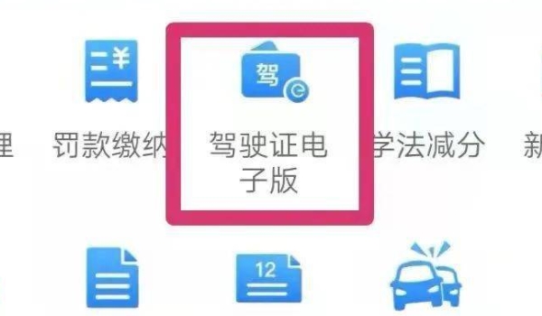 电子驾驶证在哪里查看 电子驾驶证在手机交管12123APP查看