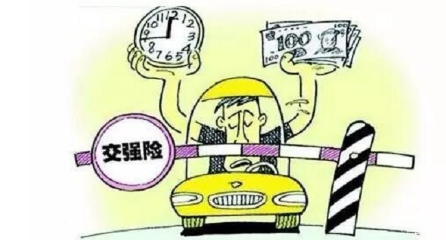 交强险多少钱一年,新规缴费方式变灵活了