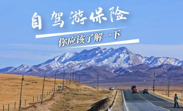 自驾游买保险哪种保险合适,这三种最合适(自驾车旅险车损险座位险)