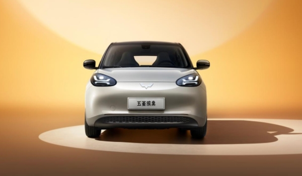 五菱缤果电动车2023款价格 新车售价5.98万元（电动续航长）