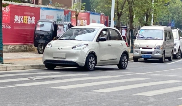 五菱缤果电动车2023款价格 新车售价5.98万元（电动续航长）