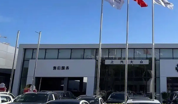 买车哪个平台好 品牌官网比较好(买车有保障)