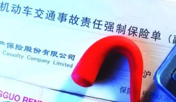 给车买保险买什么险种 交强险，商业保险（保障后期使用）