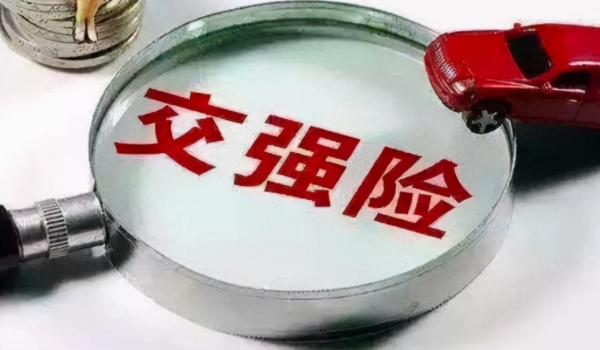 给车买保险买什么险种 交强险，商业保险（保障后期使用）
