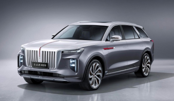 纯电大型SUV 有两款车型可以选择(分别为国产品牌和进口品牌)