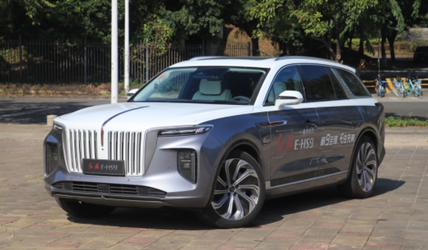 纯电大型SUV 有两款车型可以选择(分别为国产品牌和进口品牌)