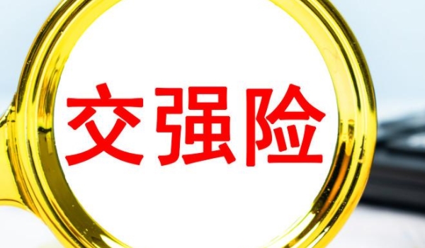新车保险买什么险种好 交强险、商业保险(三者责任险和车损险)