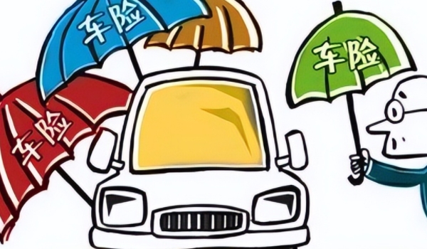 第三者责任险是什么意思 是指一种保险形式（保护他人损失）