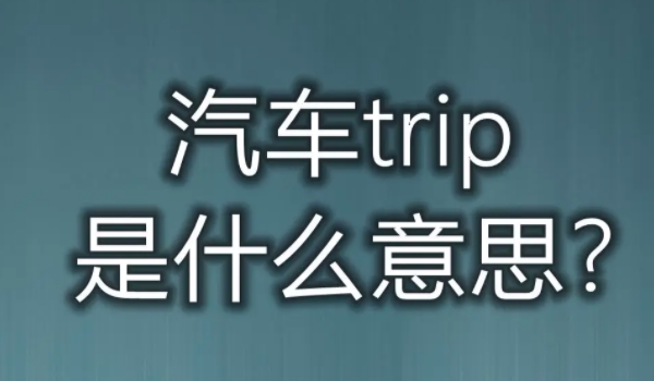 汽车上的TRIP是什么意思 车辆的小计里程按键（使用效果非常不错）