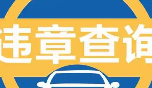 只有车牌号怎么查违章? 无法查询（需要识别代码）