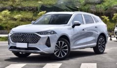 摩卡是什么牌子的车? 属于魏牌汽车（首款旗舰型SUV车型）标志图片