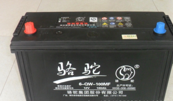 电瓶品牌哪种好 骆驼品牌性价比高（日常注意检查）