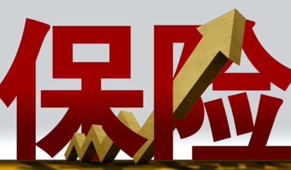 先审车还是先续保 都可以(不会对年审或续保有影响)