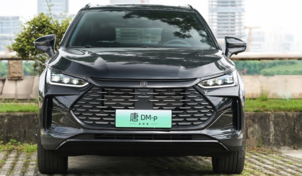 新能源汽车有哪些 唐新能源、Model Y、宋L三款新能源关注度高