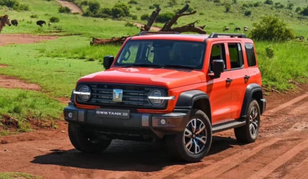 国产新款suv车型大全 坦克300,星越L,Model Y,方程豹豹8