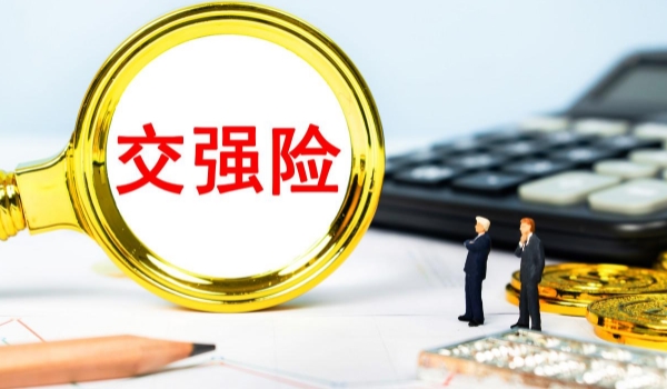 哪些是车主该买的车险? 交强险,选择购买商业保险