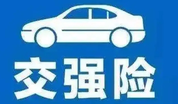 哪些是车主该买的车险? 交强险,选择购买商业保险