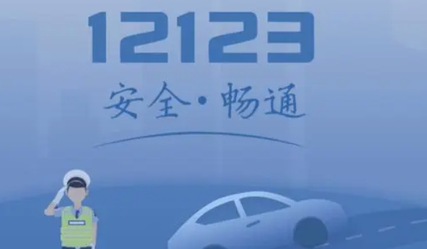 12123怎么买交强险 无法进行购买(需要联系保险公司)